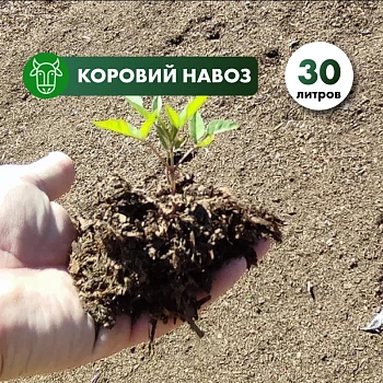 Коровий навоз прелый в мешках 30л.