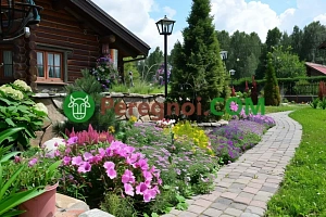 Живая изгородь: топ 10 растений