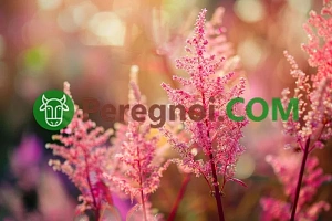 Выращивание баклажанов в теплице