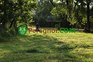 Торф и торфяные смеси